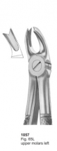  Fig. 65L upper molars left 